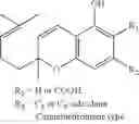 Fig. 09 - TRANSDERMAL CANNABINOID PATCH