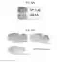 Fig. 08 - PHYSIOLOGICAL LIGANDS FOR GPR139