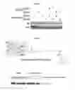 Fig. 26 - Compounds Useful for Promoting Protein Degradation and Methods Using Same