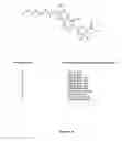 Fig. 02 - Desferrithiocin polyether analogues