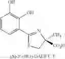 Fig. 10 - Desferrithiocin polyether analogues