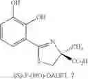 Fig. 19 - Desferrithiocin polyether analogues