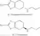 Fig. 02 - COMPOSITIONS AND METHODS OF USING R(+) PRAMIPEXOLE