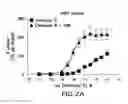 Fig. 04 - PHARMACEUTICAL COMPOSITIONS AND THEIR METHODS OF USE