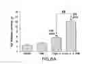 Fig. 11 - PHARMACEUTICAL COMPOSITIONS AND THEIR METHODS OF USE