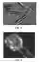 Fig. 05 - CRYSTALLINE FORM OF A 4-[2-(2-FLUOROPHENOXYMETHYL)PHENYL]PIPERIDINE COMPOUND