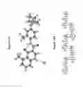Fig. 25 - Pharmaceutical Compositions and Administrations Thereof