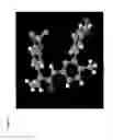 Fig. 29 - Pharmaceutical Compositions and Administrations Thereof