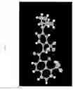 Fig. 09 - Pharmaceutical Compositions and Administrations Thereof