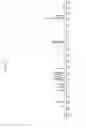 Fig. 21 - Pharmaceutical Compositions and Administrations Thereof