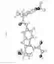 Fig. 67 - Pharmaceutical Compositions and Administrations Thereof