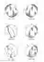 Fig. 05 - Systems and Methods for Treating Ear Disorders and Formulations Therefor