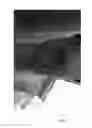 Fig. 07 - Topical medications for bruises and burns