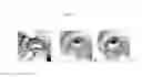 Fig. 04 - Bimatoprost Ocular Silicone Inserts and Methods of Use Thereof