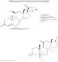 Fig. 05 - Synthetic bile acid compositions and methods