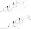 Fig. 167 - NEUROACTIVE STEROIDS, COMPOSITIONS, AND USES THEREOF