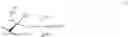 Fig. 34 - NEUROACTIVE STEROIDS, COMPOSITIONS, AND USES THEREOF