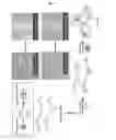Fig. 02 - Chelated drug delivery systems