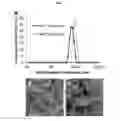 Fig. 04 - Chelated drug delivery systems