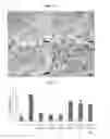 Fig. 09 - Chelated drug delivery systems