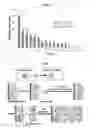 Fig. 13 - Chelated drug delivery systems
