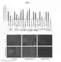 Fig. 17 - Chelated drug delivery systems