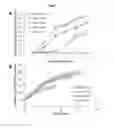 Fig. 20 - Chelated drug delivery systems