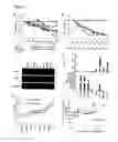 Fig. 02 - METHODS AND COMPOSITIONS FOR THE TREATMENT OF GLUTAMINE-ADDICTED CANCERS