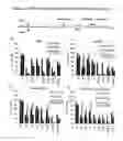 Fig. 06 - METHODS AND COMPOSITIONS FOR THE TREATMENT OF GLUTAMINE-ADDICTED CANCERS