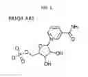 Fig. 02 - Administration of nicotinamide mononucleotide in the treatment of disease