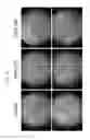 Fig. 12 - Administration of nicotinamide mononucleotide in the treatment of disease