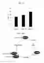 Fig. 14 - Administration of nicotinamide mononucleotide in the treatment of disease