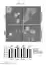 Fig. 25 - Administration of nicotinamide mononucleotide in the treatment of disease