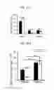 Fig. 26 - Administration of nicotinamide mononucleotide in the treatment of disease