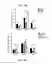 Fig. 33 - Administration of nicotinamide mononucleotide in the treatment of disease