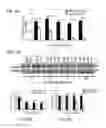 Fig. 46 - Administration of nicotinamide mononucleotide in the treatment of disease
