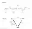 Fig. 52 - Administration of nicotinamide mononucleotide in the treatment of disease