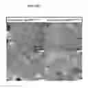 Fig. 84 - Administration of nicotinamide mononucleotide in the treatment of disease