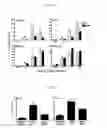Fig. 09 - ADMINISTRATION OF ERITORAN OR PHARMACEUTICALLY ACCEPTABLE SALTS THEREOF TO TREAT ORTHOMYXOVIRUS INFECTIONS