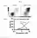 Fig. 04 - COMPOSITIONS AND METHODS FOR TREATING DISEASE STATES ASSOCIATED WITH ACTIVATED T CELLS AND/OR B CELLS