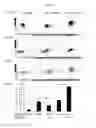 Fig. 05 - COMPOSITIONS AND METHODS FOR TREATING DISEASE STATES ASSOCIATED WITH ACTIVATED T CELLS AND/OR B CELLS