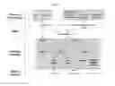 Fig. 07 - COMPOSITIONS AND METHODS FOR TREATING DISEASE STATES ASSOCIATED WITH ACTIVATED T CELLS AND/OR B CELLS
