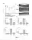 Fig. 06 - IMMUNOMODULATING COMPOUNDS AND RELATED COMPOSITIONS AND METHODS