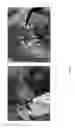 Fig. 04 - Compositions and methods of use for wound healing