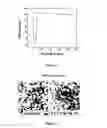 Fig. 04 - NOVEL FORMULA OF IRON BASED NANOCOMPOSITES FOR RAPID AND EFFICIENT TREATMENT OF IRON DEFICIENCY ANEMIA
