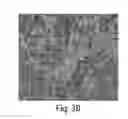 Fig. 05 - Methods for production of platelets from pluripotent stem cells and compositions thereof