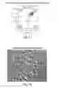 Fig. 22 - Methods for production of platelets from pluripotent stem cells and compositions thereof