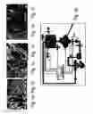 Fig. 02 - METHODS FOR CELL EXPANSION AND USES OF CELLS AND CONDITIONED MEDIA PRODUCED THEREBY FOR THERAPY