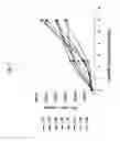 Fig. 03 - METHODS FOR CELL EXPANSION AND USES OF CELLS AND CONDITIONED MEDIA PRODUCED THEREBY FOR THERAPY