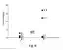 Fig. 10 - METHODS FOR CELL EXPANSION AND USES OF CELLS AND CONDITIONED MEDIA PRODUCED THEREBY FOR THERAPY